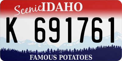ID license plate K691761