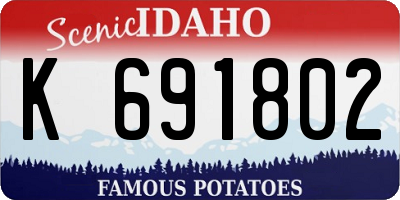 ID license plate K691802