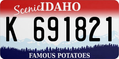 ID license plate K691821