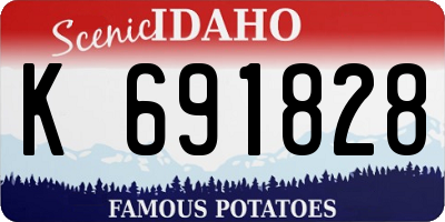 ID license plate K691828