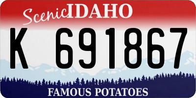 ID license plate K691867