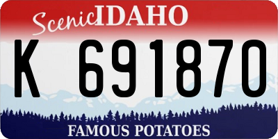 ID license plate K691870