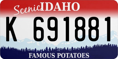 ID license plate K691881