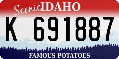 ID license plate K691887