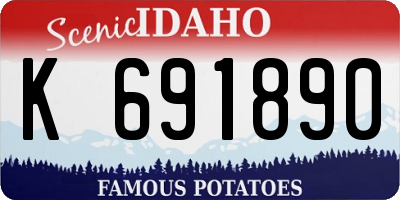 ID license plate K691890