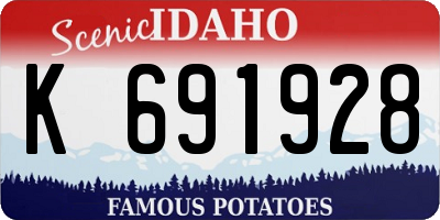 ID license plate K691928