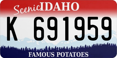 ID license plate K691959