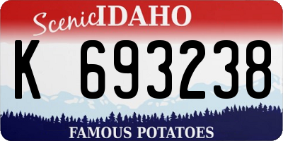 ID license plate K693238