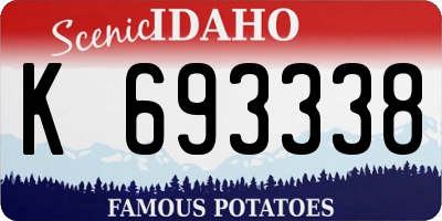 ID license plate K693338