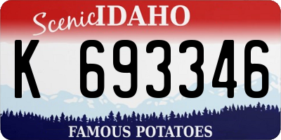 ID license plate K693346