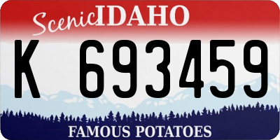 ID license plate K693459
