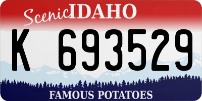 ID license plate K693529