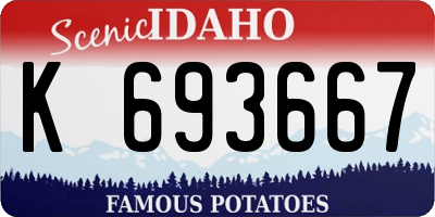 ID license plate K693667