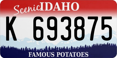 ID license plate K693875