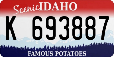 ID license plate K693887