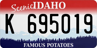 ID license plate K695019