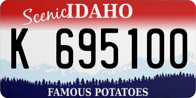 ID license plate K695100