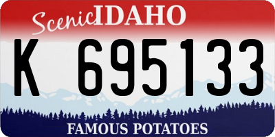 ID license plate K695133