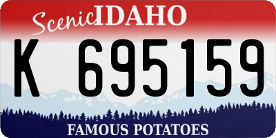 ID license plate K695159