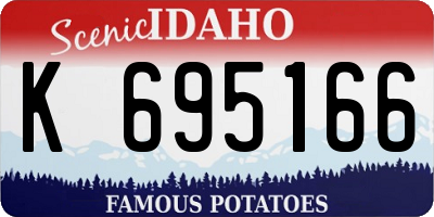 ID license plate K695166