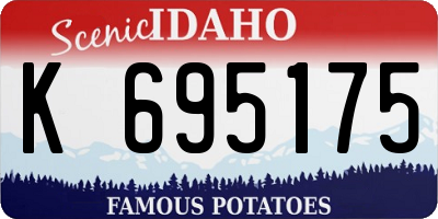 ID license plate K695175