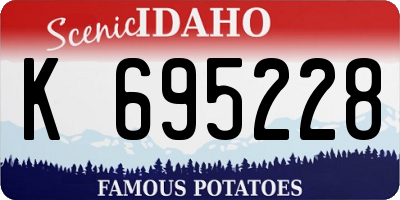 ID license plate K695228