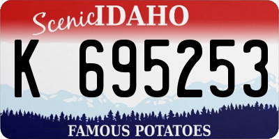 ID license plate K695253