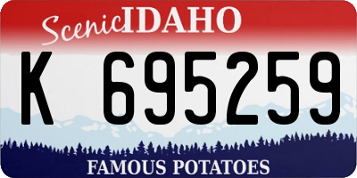 ID license plate K695259