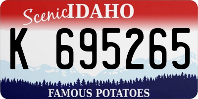 ID license plate K695265