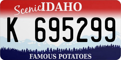 ID license plate K695299