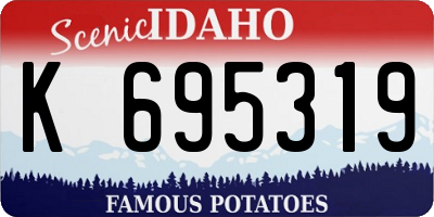 ID license plate K695319