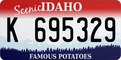 ID license plate K695329