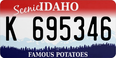 ID license plate K695346