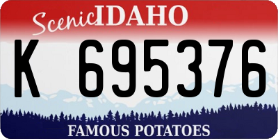 ID license plate K695376