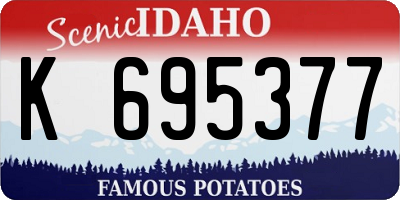 ID license plate K695377