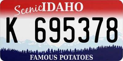 ID license plate K695378