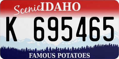 ID license plate K695465