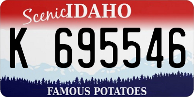 ID license plate K695546