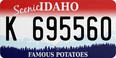 ID license plate K695560