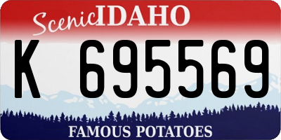 ID license plate K695569