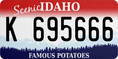 ID license plate K695666