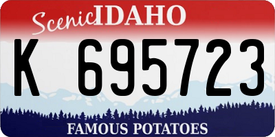 ID license plate K695723