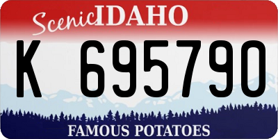 ID license plate K695790