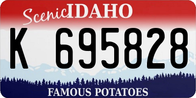ID license plate K695828