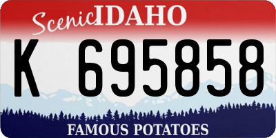 ID license plate K695858