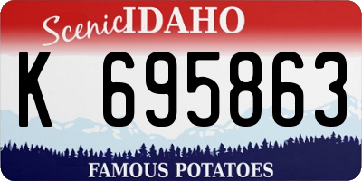 ID license plate K695863