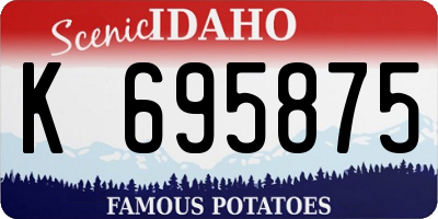 ID license plate K695875