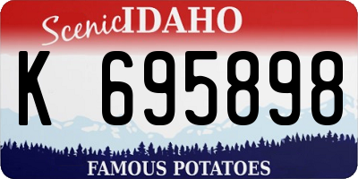 ID license plate K695898