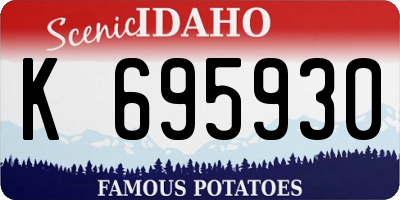 ID license plate K695930