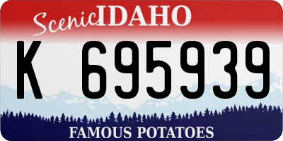 ID license plate K695939